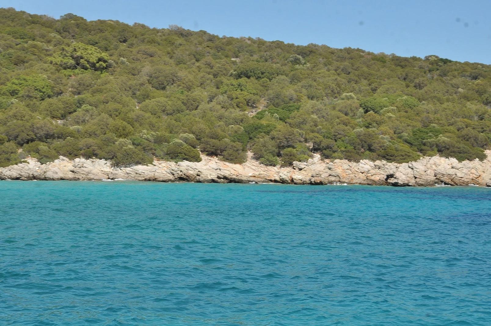 Boat Trip - 3