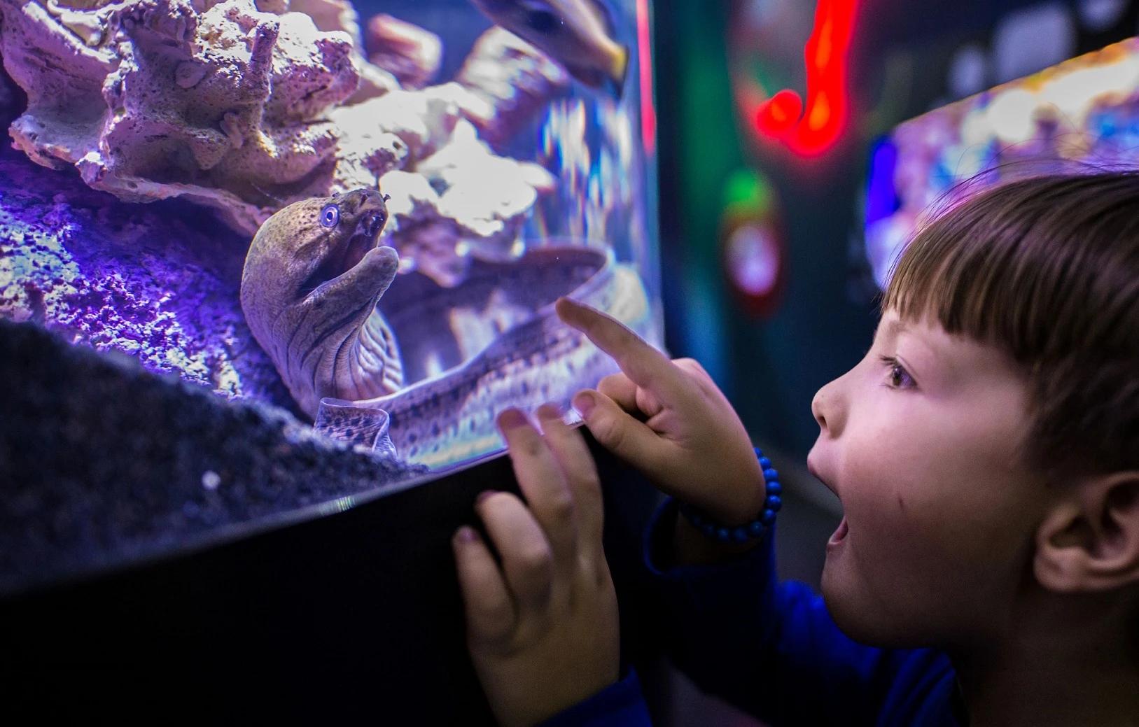 Izmir Aquarium - 1